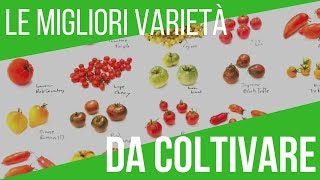 COLTIVARE POMODORI QUALI VARIETÀ SCEGLIERE  FILE DELLA COLTIVAZIONE [upl. by Nerrag]