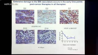 Purton 2015 Regulation of haematopoiesis by microenvironment cells [upl. by Airitac]