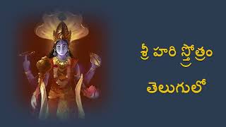 Sri Hari Strotram  Meaning in Telugu  Jagajjalapalam Kacha Kanta Malam  జగజ్జాలపాలం కచకంఠమాలం [upl. by Daloris751]