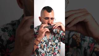 Hallelujah  Leonrad Cohen  Harmonica [upl. by Kalfas672]