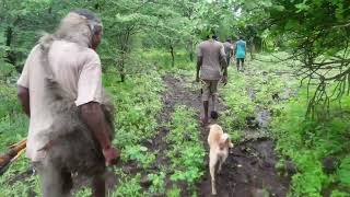 SKILLED HUNTERS IN THE BUSH OF AFRICAHADZABE TRIBE HUNTERS [upl. by Anassor]