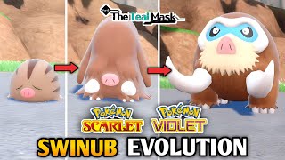 How To Evolve Swinub Into Piloswine and Mamoswine In Pokemon Scarlet amp Violet  The Teal Mask DLC [upl. by Huda]