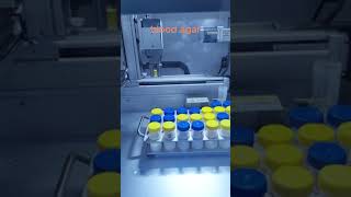 Automatic Inoculation on Blood Agar Efficient Microbial Testing with Babio Biotechnology [upl. by Randell]