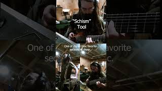 Schism  Tool Cover [upl. by Hadeehuat]