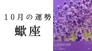 【蠍座🌙10月の運勢】人生のフェーズが変わる😳今が辛いさそり座さん絶対見て欲しい🥹2024年タロット占い [upl. by Annaxor]