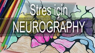 Nörografik Çizim Nedir  Farkındalık ve Rahatlama Egzersizi 👉NEUROGRAPHIC ART 569 [upl. by Ahsinaj]