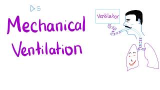 Mechanical Ventilation  Most COMPREHENSIVE Explanation 🤫 [upl. by Nepets]