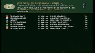 Carr6 Premio ESPECIAL CARMELINDA 03122024 [upl. by Kurth]