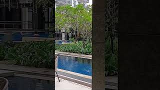 Pool Side at Dusit Thani Davao City shorts dusitthani [upl. by Ynaittirb]