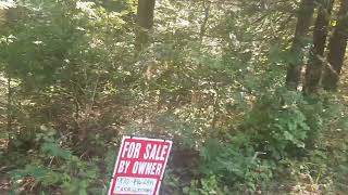 3 ADJOINING TRAILER FRIENDLY LOTS FOR SALE BY OWNER [upl. by Urina]