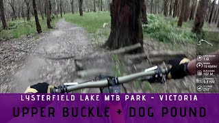 Upper Buckle 3  Dog Pound 17  Lysterfield Lake MTB Park [upl. by Saunders]