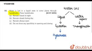 Water is lost in a liquid state in some plants through hydathodes These hydathodes [upl. by Defant]