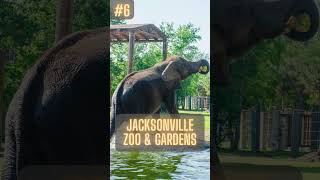 Top 10 Things To Do In Jacksonville FL  Stunning Beaches Rich History And Vibrant Culture [upl. by Draneb736]