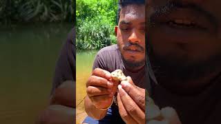 JACKPOT 🤑🤑🤑 Thats A 65 GOLD NUGGET gold gems crystals rockhounding satisfying [upl. by Iggie]