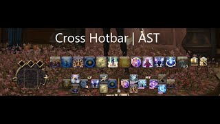 FFXIV Astrologian Cross Hotbar Setup [upl. by Collete298]