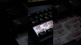 Keydous NJ80C Hall Effect keyboard  Outemu Magnetic Beige Pink [upl. by Rowland574]