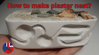 How to make compact formicarium  ALL IN ONE  Plaster Nest Tutorial [upl. by Wettam478]