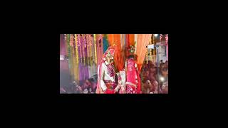 new rajput wedding videoroyal rajput ❤️ beautiful new Rajasthani short video 🥰🧿 [upl. by Cordle498]