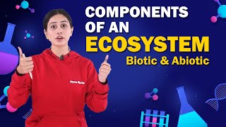 Components of an Ecosystem  Biotic and Abiotic  Biology  Class 8 ICSE  Home Revise [upl. by Ahtabbat]