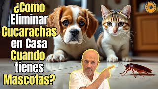 🆘 ¿COMO ELIMINAR CUCARACHAS EN CASA SI TENGO UN PERRO O UN GATO 🆘 [upl. by Akirderf877]