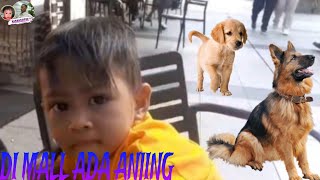 DI MALL ADA ANJING [upl. by Casey]