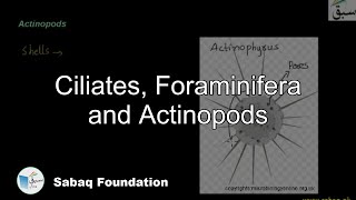 Ciliates Foraminifera and Actinopods Biology Lecture  Sabaqpk [upl. by Jarrett]