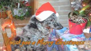 kerstwensen 2010mp4 [upl. by Eenimod]