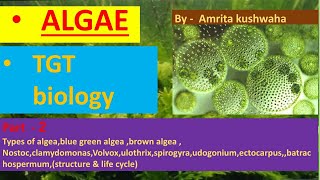 ALGEA  complete concept part  2tgt biologypgt biologyGICLT grade [upl. by Lurie322]