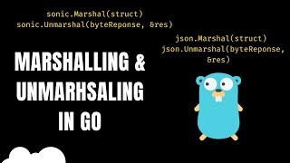 Go Efficient Marshalling amp Unmarshalling  SONIC  JSON [upl. by Shaina]