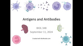 Immunology Fall 2024 Lecture 7 Antigens and Antibodies [upl. by Araiet388]