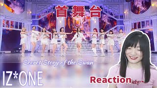 【IZONE】《Secret Story of the Swan》首舞台reaction 反应视频 [upl. by Pry392]