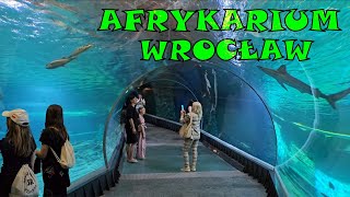 Afrykarium ZOO Wrocław [upl. by Gabbie702]