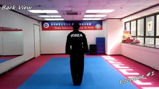 Taekwondo  Poomsae 1 Il Jang Slowmotion amp Mirror [upl. by Pauletta]