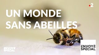 Envoyé spécial Un monde sans abeilles  6 juin 2019 France 2 [upl. by Hymie]