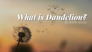 What is Dandelion [upl. by Emanuel]