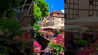 Alsace Travel Guide Exploring the Picturesque Beauty of Frances Charming Region shorts [upl. by Ainimreh]