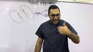 Renal physiology 1 القصر العيني ٢٠٢٤ [upl. by Aneerahs]