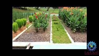 CSIRIMMT Waste Water Treatment by Constructed Wetlands [upl. by Rashidi]