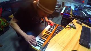 Crazy Synthesizer Solo  Going mad with my Behringer Poly D [upl. by Raimes]