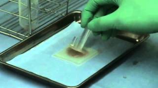 Preparation of a gelatin gelcoated plungerlike manipulator [upl. by Outlaw]