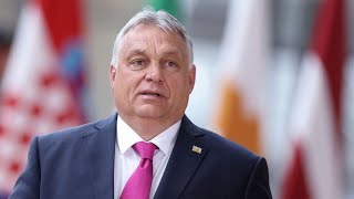 Ungarns Ratsvorsitz EU fürchtet „Blockade und Stillstand“ mit Orbán [upl. by Kalli726]