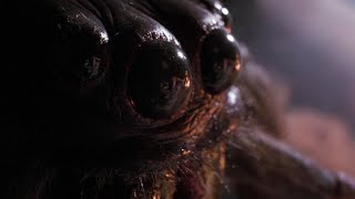 Arachnophobia Full Movie Facts amp Review in English  Jeff Daniels  Julian Sands [upl. by Tierza219]