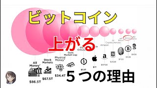 ビットコイン 価値が上がる ５つの理由 [upl. by Eninej606]