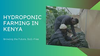 What is Hydroponics Farming [upl. by Waldon]