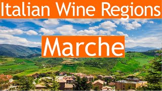 Italian Wine Regions Marche [upl. by Asenab]