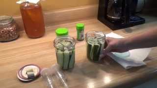 Fermenting Cucumbers  first try  here is how [upl. by Nibla]