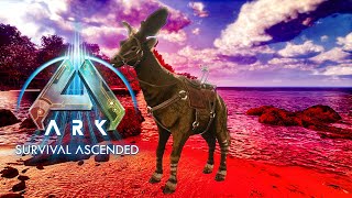 Nouveau Dinosaure Le Sivatherium Sur Ark Ascended  ARK Wilds Sivatherium [upl. by Jeffry406]