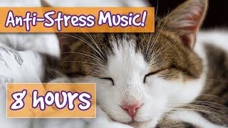 Songs for Nervous Cats Soothing Music to Calm Your Hyperactive Anxious Cat and Help with Sleep 🐈 [upl. by Icul]