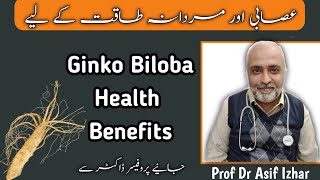 Ginkgo Biloba Benefits In UrduHindi  Ginkgo Biloba Side Effects  Dr Asif Izhar [upl. by Etnaled]