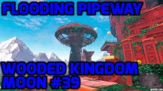 Super Mario Odyssey  Wooded Kingdom Moon 39  Flooding Pipeway [upl. by Bucher]